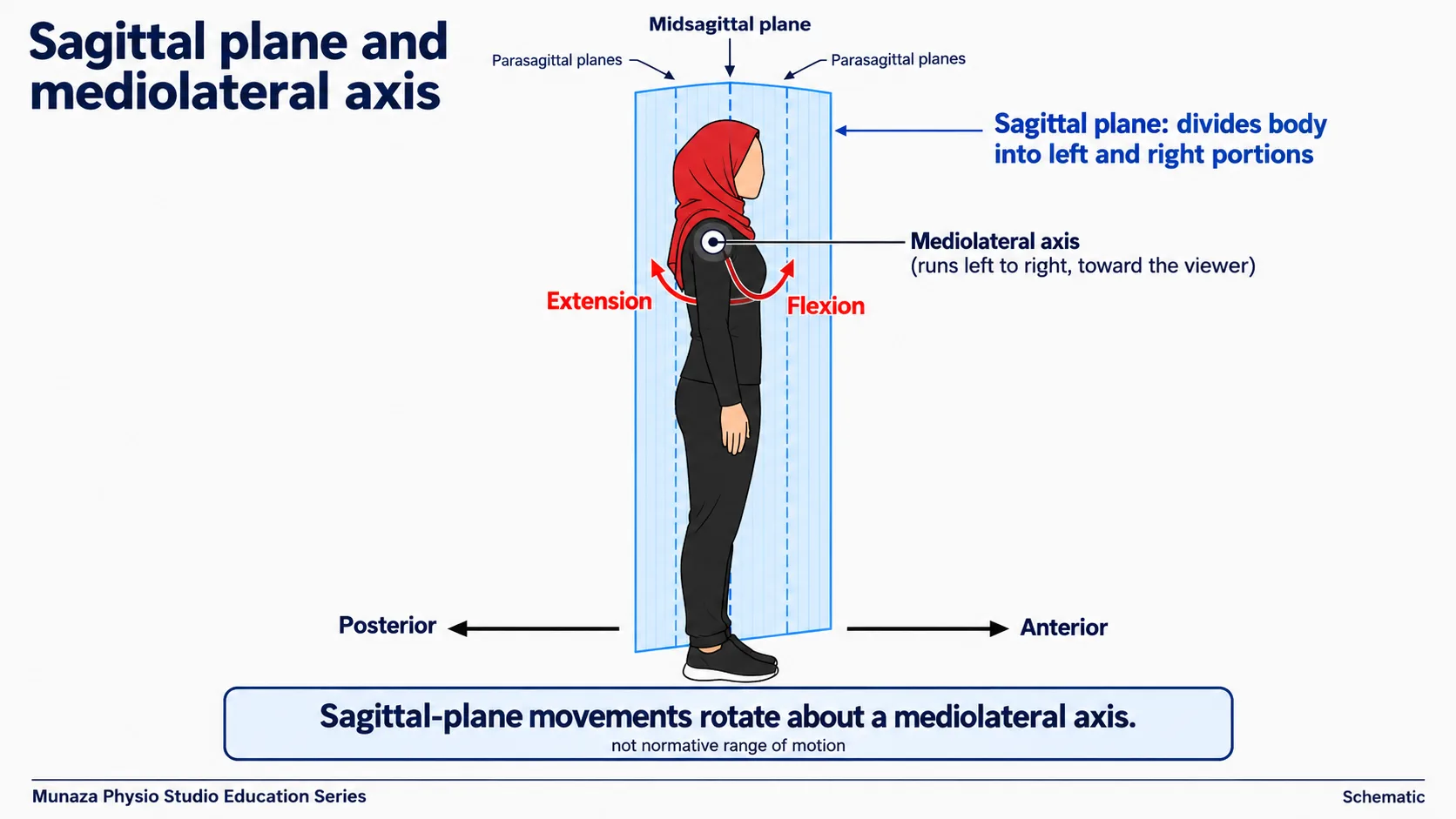 A schematic figure in side view with a sagittal plane and the mediolateral axis